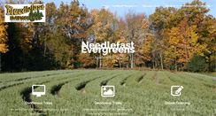 Desktop Screenshot of needlefastevergreens.com