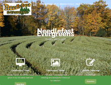 Tablet Screenshot of needlefastevergreens.com